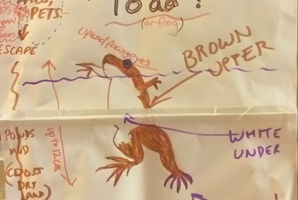RAPID LIFE Priority Species Workshops