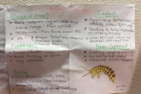 200723 Killer Shrimp Poster JC 200723 Killer Shrimp Poster JC